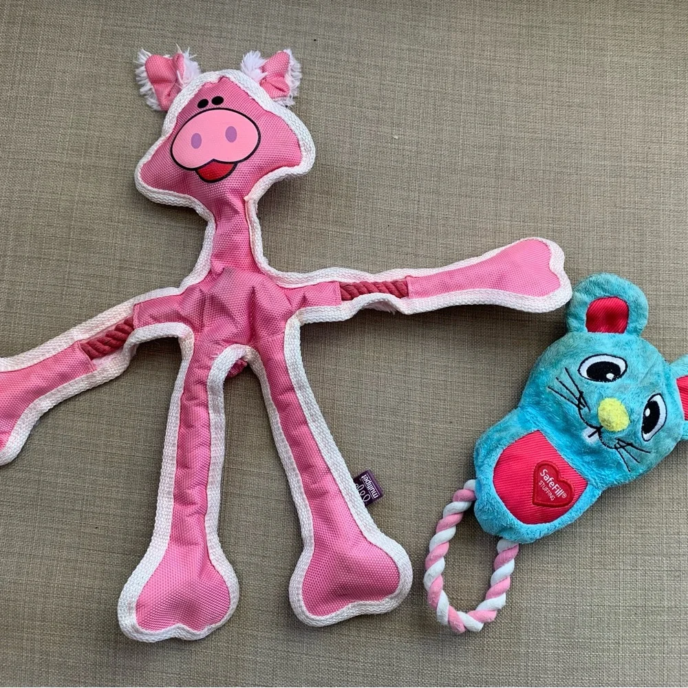 Robe & Squeaky pig dog toy bundle